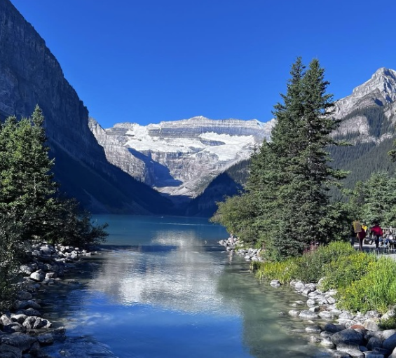 加拿大抵制美货情绪不减 美国酒业对加出口额上